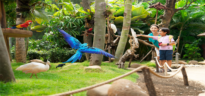 Liburan Ramah Anak Sekaligus Edukatif? Coba Wisata Eco Learning Tourism!